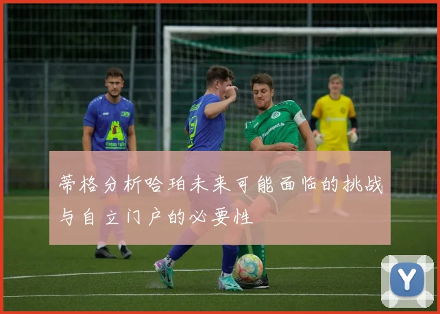 蒂格分析哈珀未来可能面临的挑战与自立门户的必要性